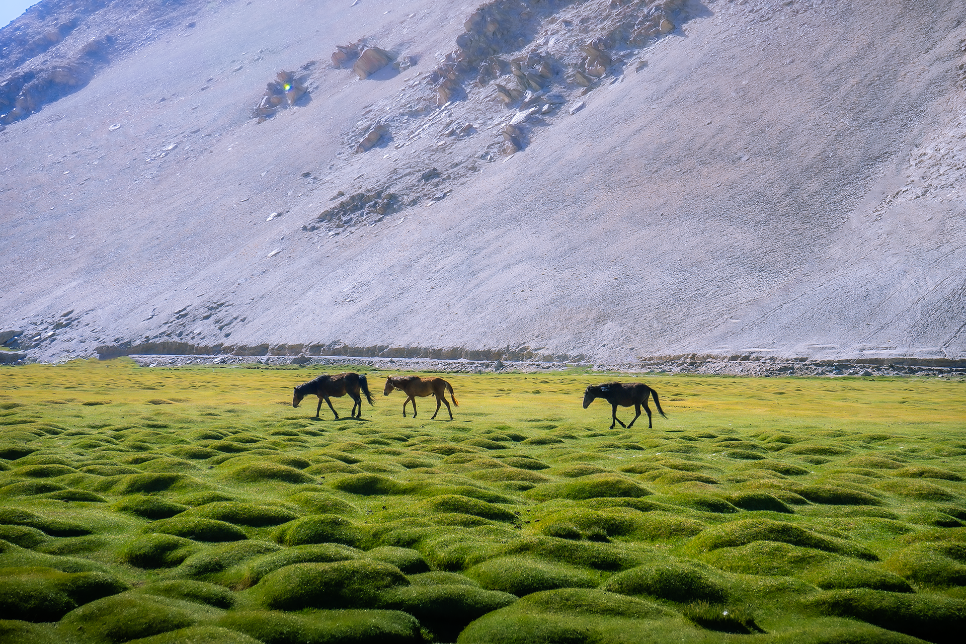 Khách Việt 14 ngày lái mô tô khám phá thiên nhiên siêu thực ở Ladakh Ấn Độ - 9