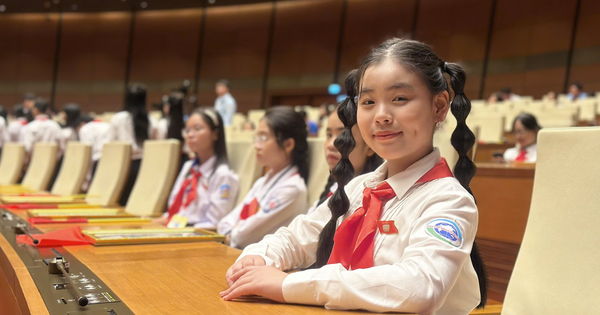 Phan Bao Ngoc, delegado de la ciudad de Hanoi, asistió a la sesión simulada de la "Asamblea Nacional de los Niños"