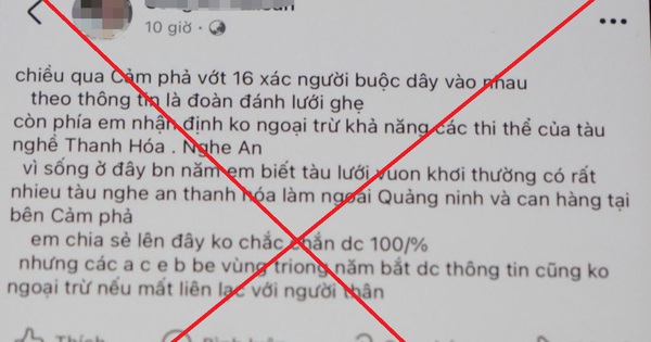 Triệu tập đối tượng tung tin sai sự thật trên mạng xã hội về tình hình thiệt hại do cơn bão số 3