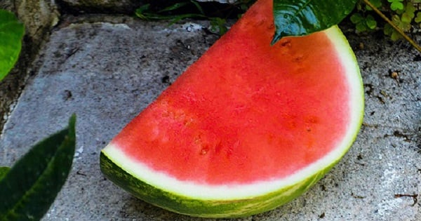 Der Verzehr von Wassermelonen hat unerwartete Auswirkungen auf die Prostata