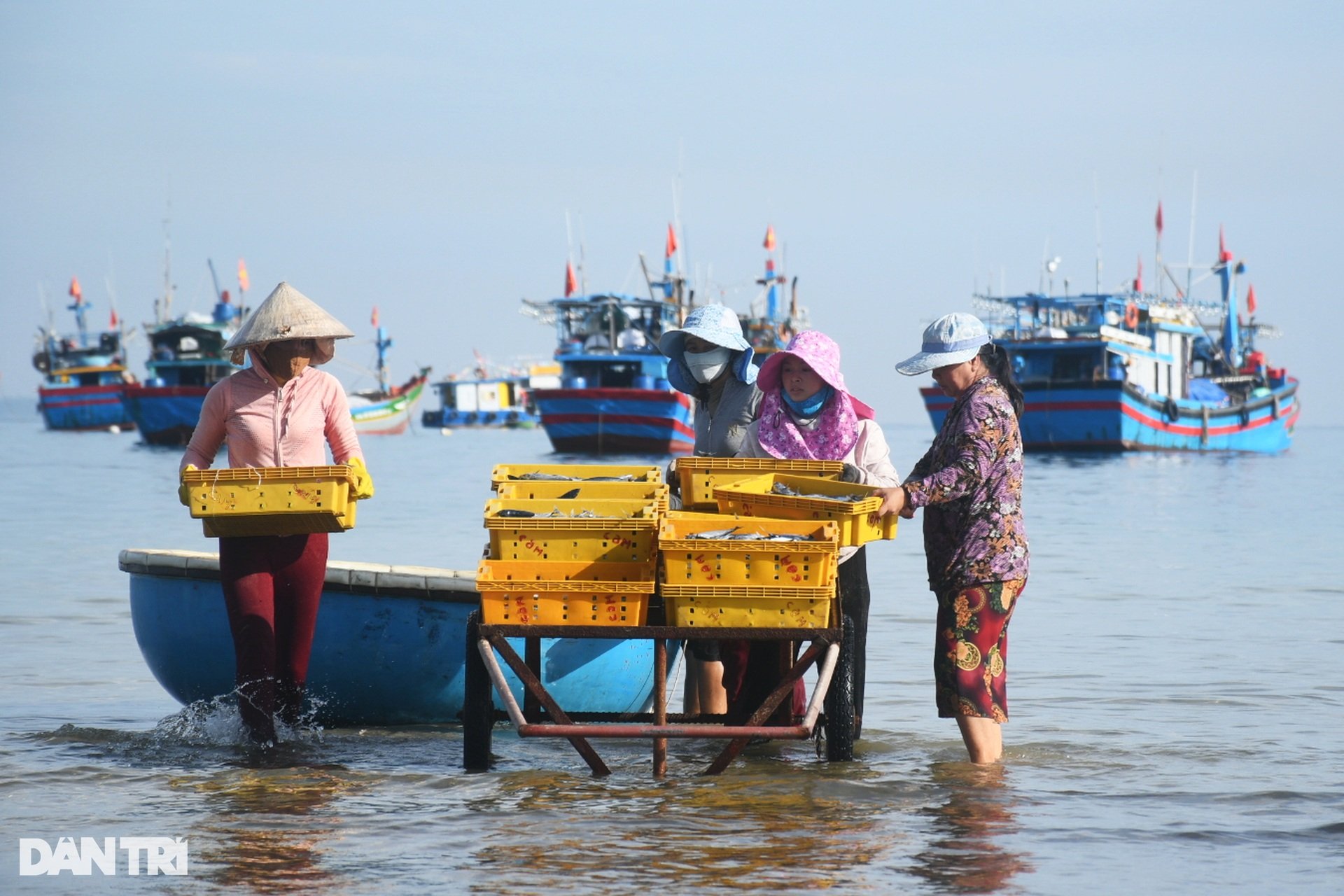 Chợ cá nơi nghĩa địa tàu cổ - 2