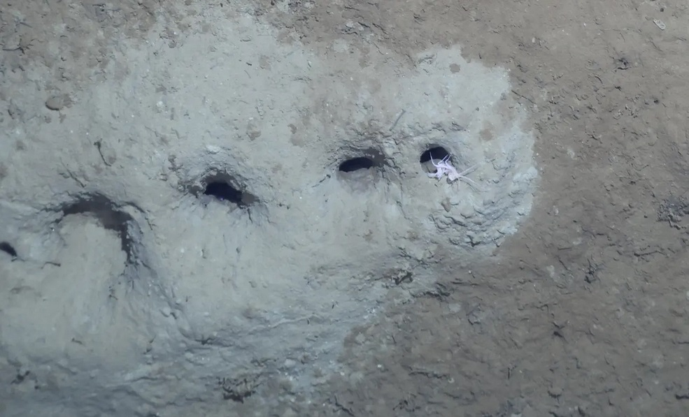 Encuentran al culpable que creó el misterioso agujero en el fondo marino entre Rusia y Alaska