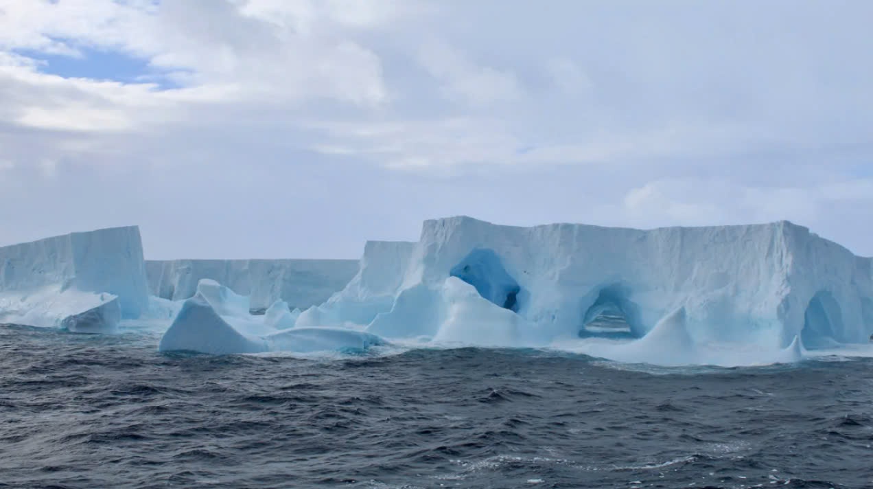 The world's largest glacier is embedded in the Great Gyroscope Figure 1