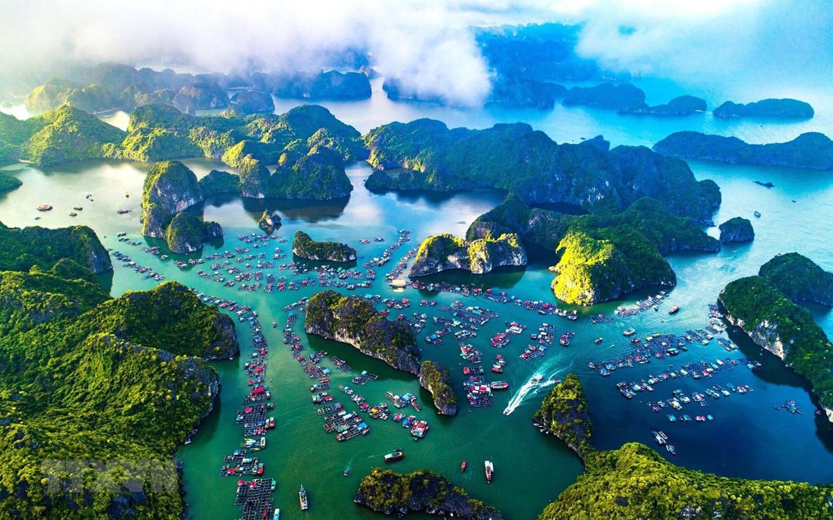 Celebrando los 30 años desde que la bahía de Ha Long fue reconocida como Patrimonio Natural Mundial