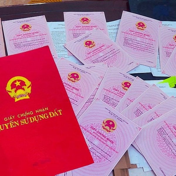 Details of regulations on land without papers being granted red books