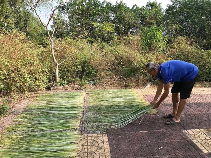 M. Nguyen Van Tran Vu sèche des fibres de carex pour fabriquer des nattes Ca Mau.