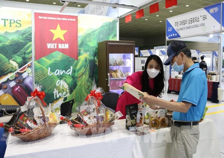 Vietnam - Korea economic cooperation: Raising both quality and quantity