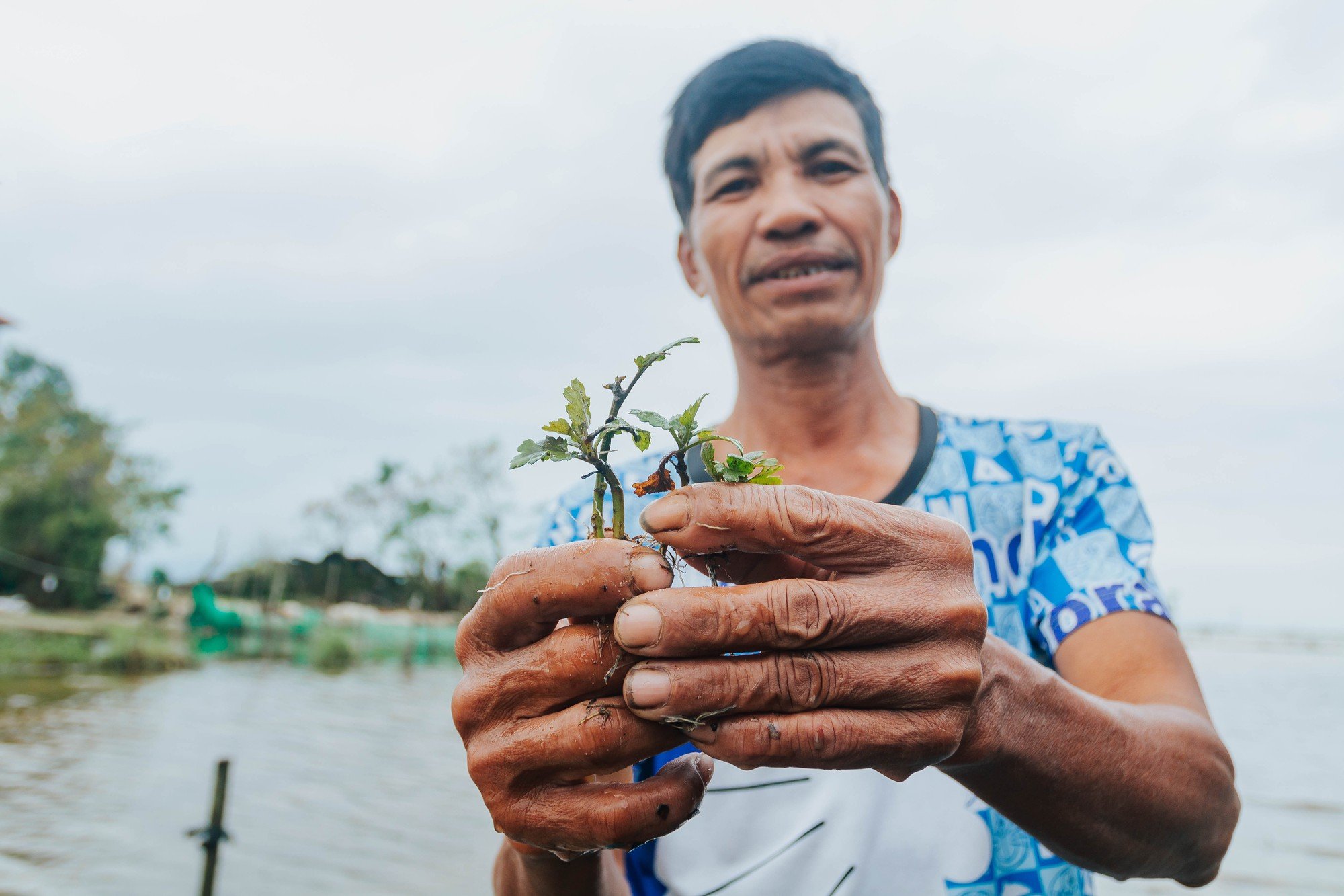 Lũ về, người dân Quảng Bình mất trắng vụ hoa tết - Ảnh 2.