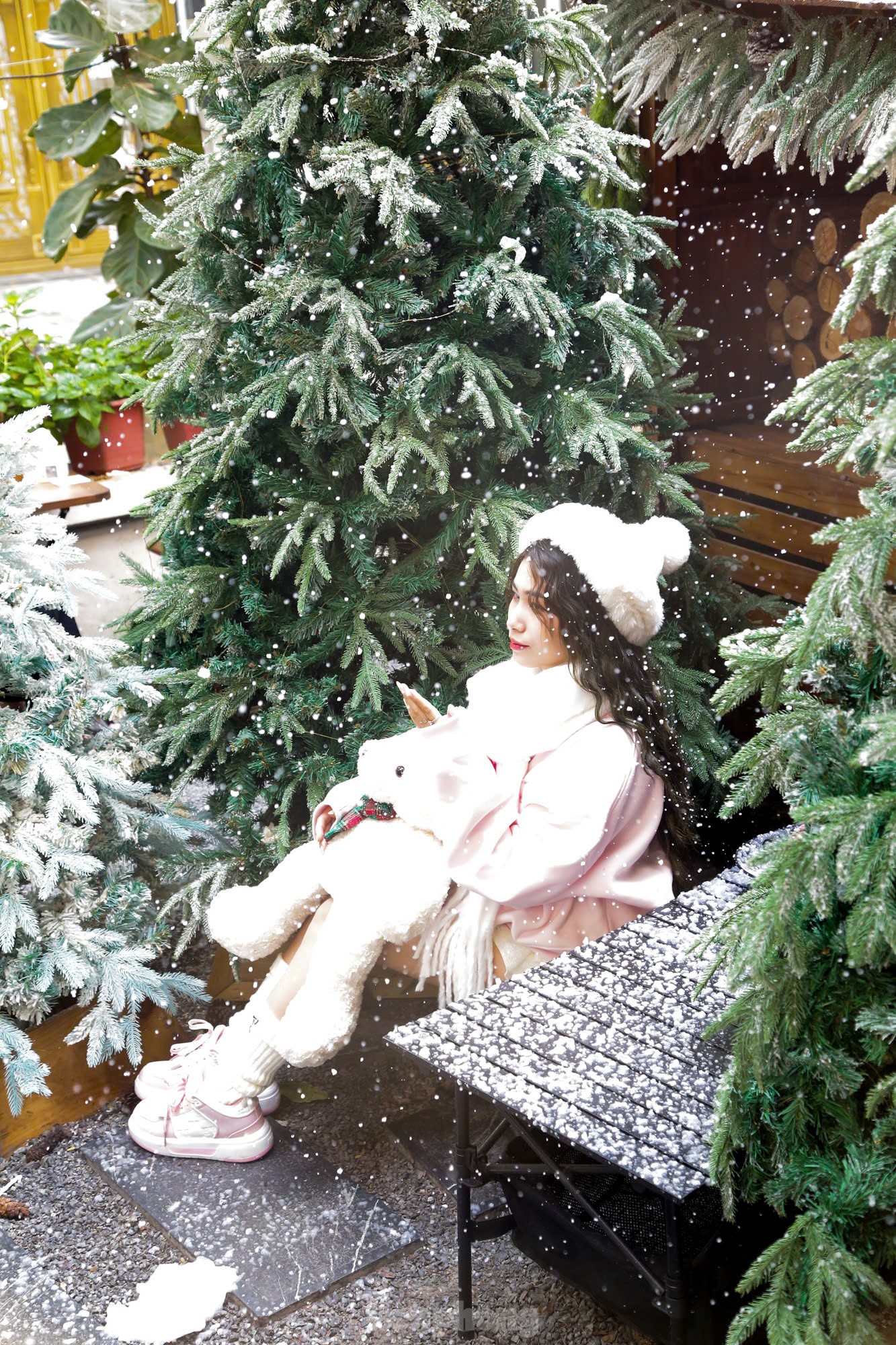 Winter muses watch the snow fall in a coffee shop in the heart of Hanoi photo 2