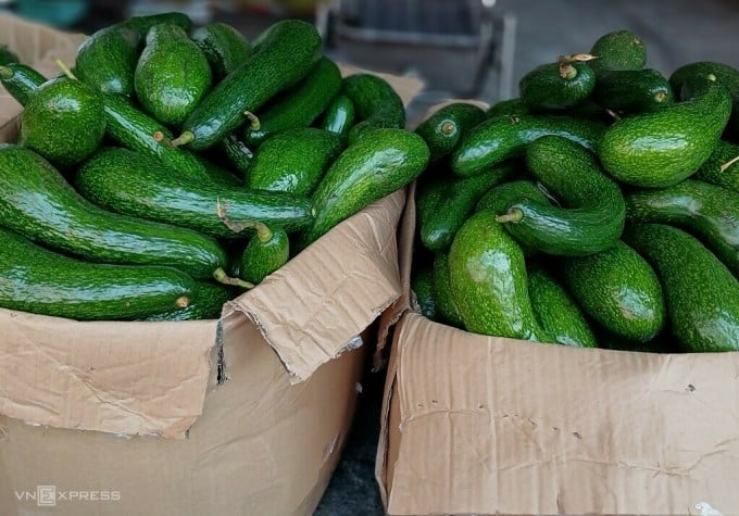 Avocado 034 sold on the sidewalk of Le Duc Tho street (Go Vap). Photo: Hong Chau