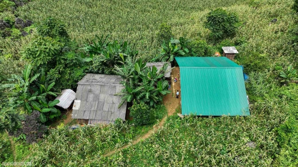 From a solid house in the middle of a cornfield in Ha Quang district, Cao Bang, weaving dreams of change