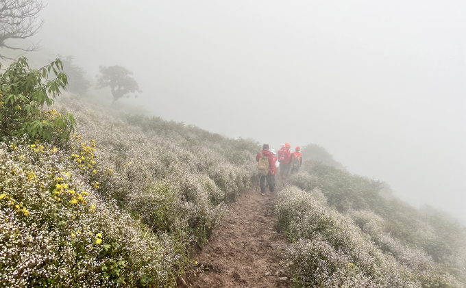 The road near the top has only wild trees and strong winds. Photo: Hong Phuong