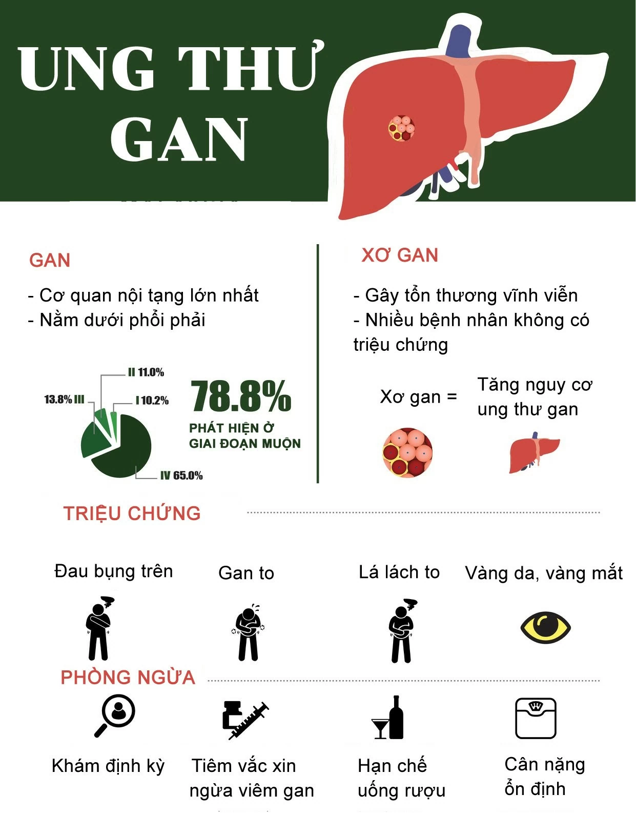 Dấu hiệu nhận biết bệnh ung thư gan. (Hiệp hội Ung thư quốc gia Malaysia/Vietnamnet)