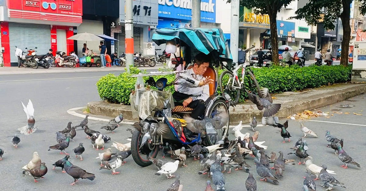 Il vend des billets de loterie et gagne 200 000 VND par jour, et dépense 45 000 VND en nourriture pour pigeons.