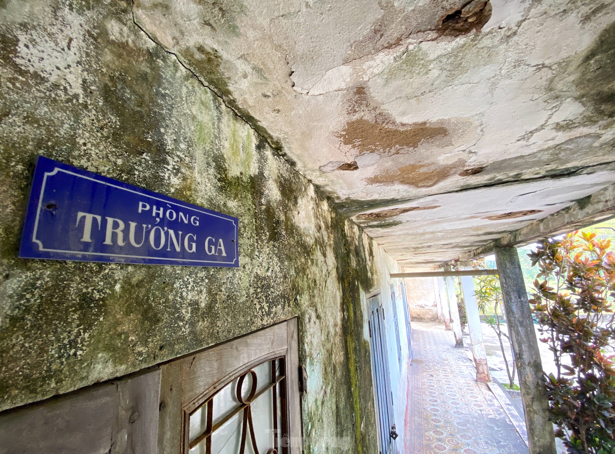 The desolation of the 'forgotten' railway line in Nghe An photo 10