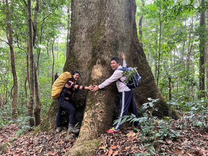 Minh Thy (links) ist beeindruckt von den uralten Bäumen im Urwald.