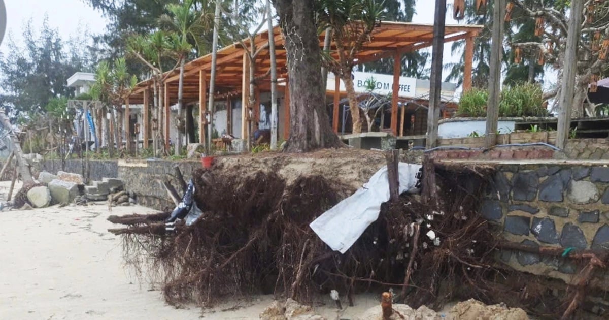 Quang Ngai's most beautiful beach eroded more than 200m