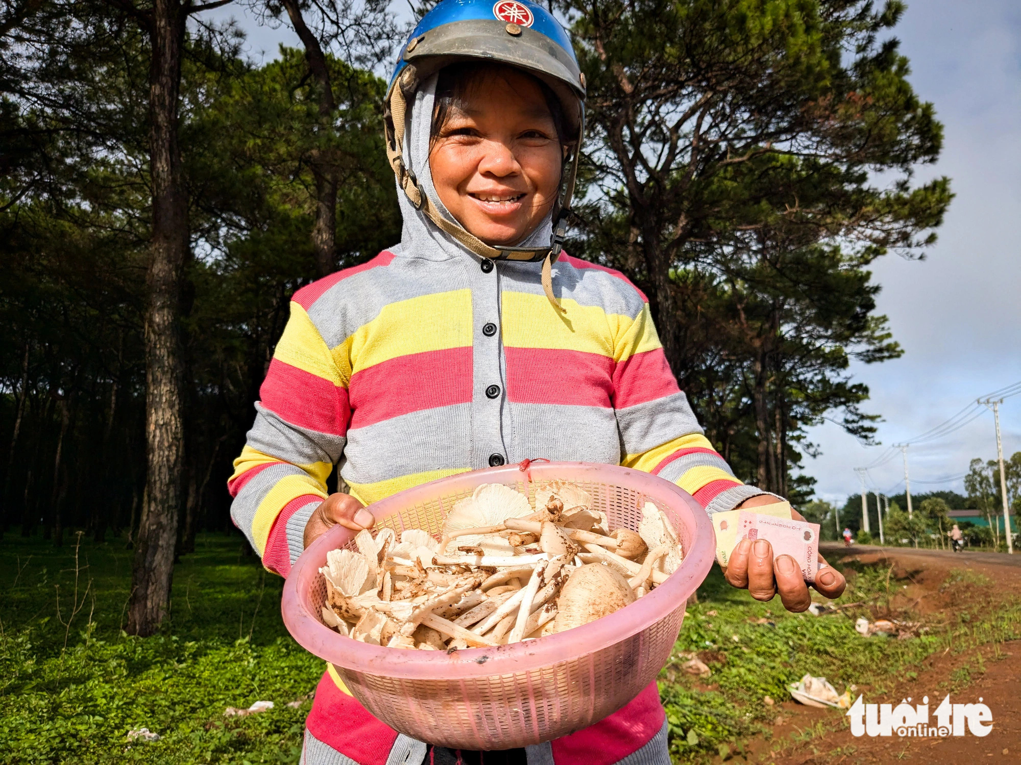 Người phụ nữ Jarai chào bán nấm mối dọc đường đi Ia Grai, Gia Lai. Mùa này nấm mối đã xuất hiện lác đác tại các chợ tạm ven đường - Ảnh: TẤN LỰC 