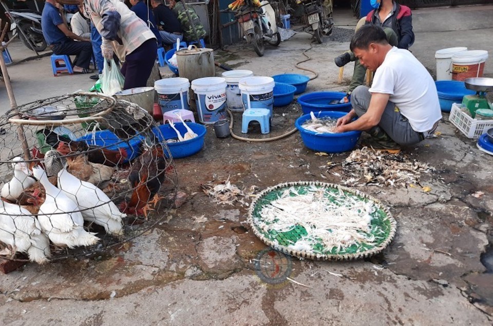 กระทรวงเกษตรและพัฒนาชนบทได้ขอให้ฮานอยแก้ไขการจัดการการฆ่าสัตว์ปีก ภาพประกอบ