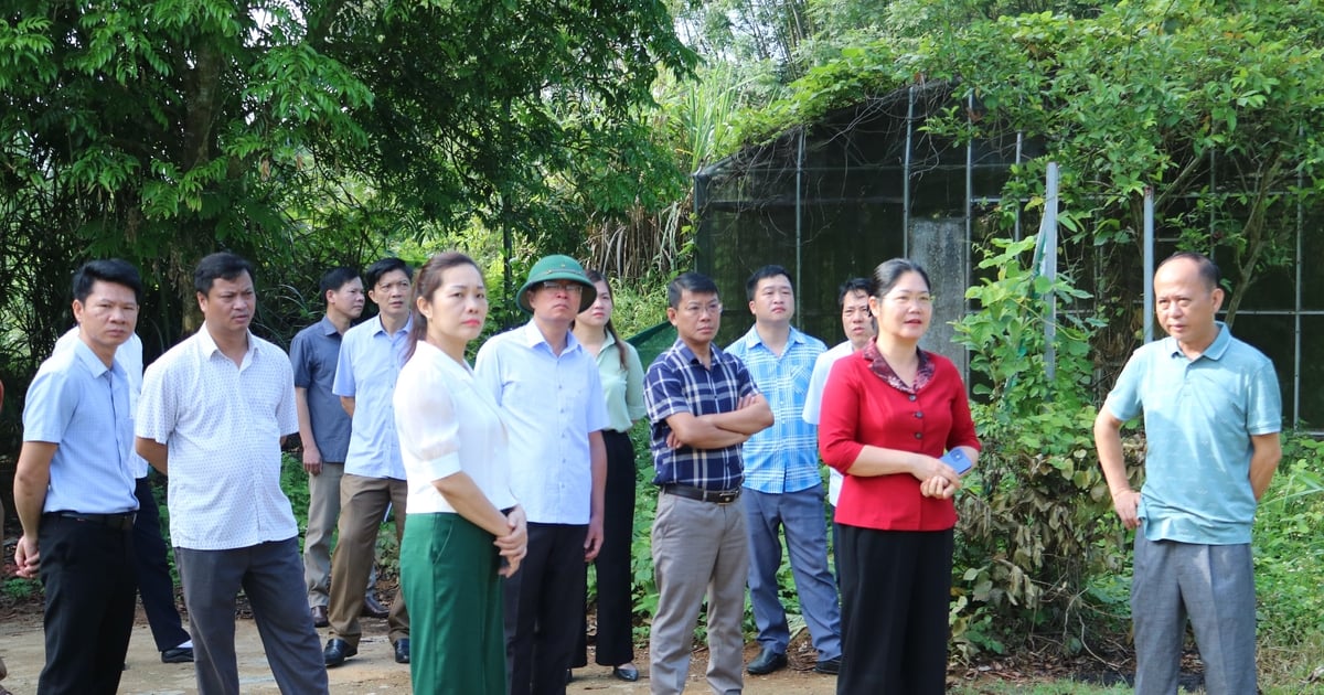 Cần nâng cao hiệu quả quản lý và sử dụng đất công gắn với tài sản công trên địa bàn tỉnh