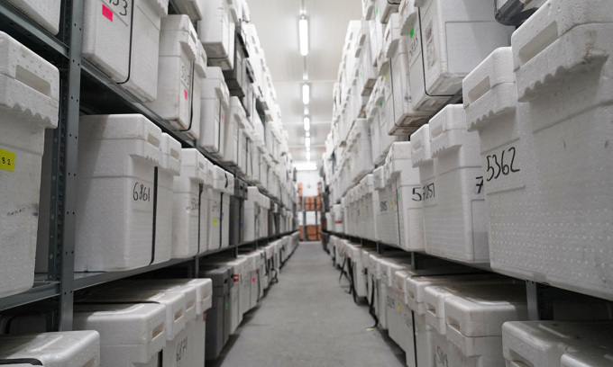 Cajas aisladas con muestras de núcleos de hielo se alinean en los estantes de un almacén en Copenhague, Dinamarca, el 26 de octubre de 2023. Foto: James Brooks/AFP