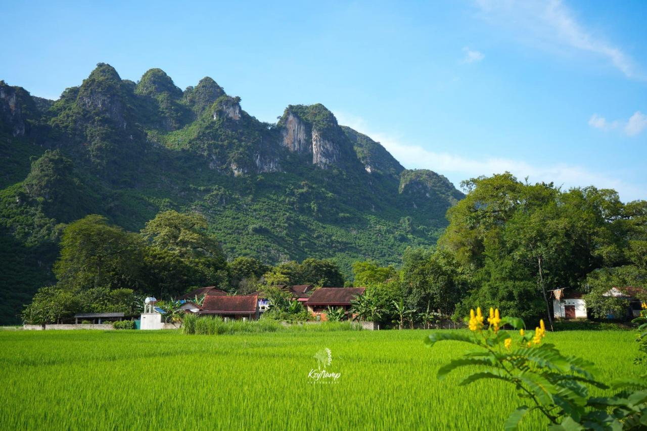 Thung lũng xanh cách Hà Nội 130km, khách tới ăn đặc sản, cắm trại, chèo thuyền