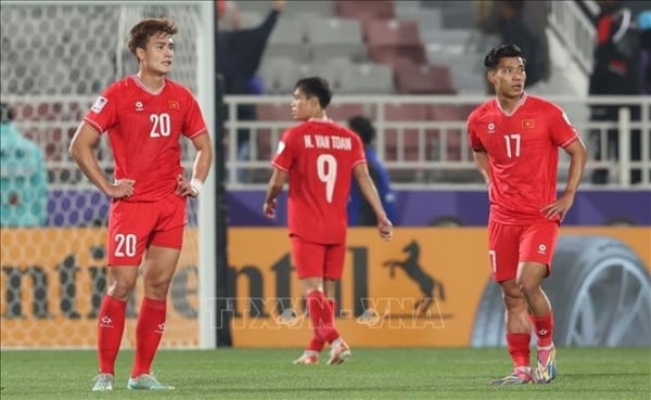 Vietnam team eliminated after losing to Indonesia