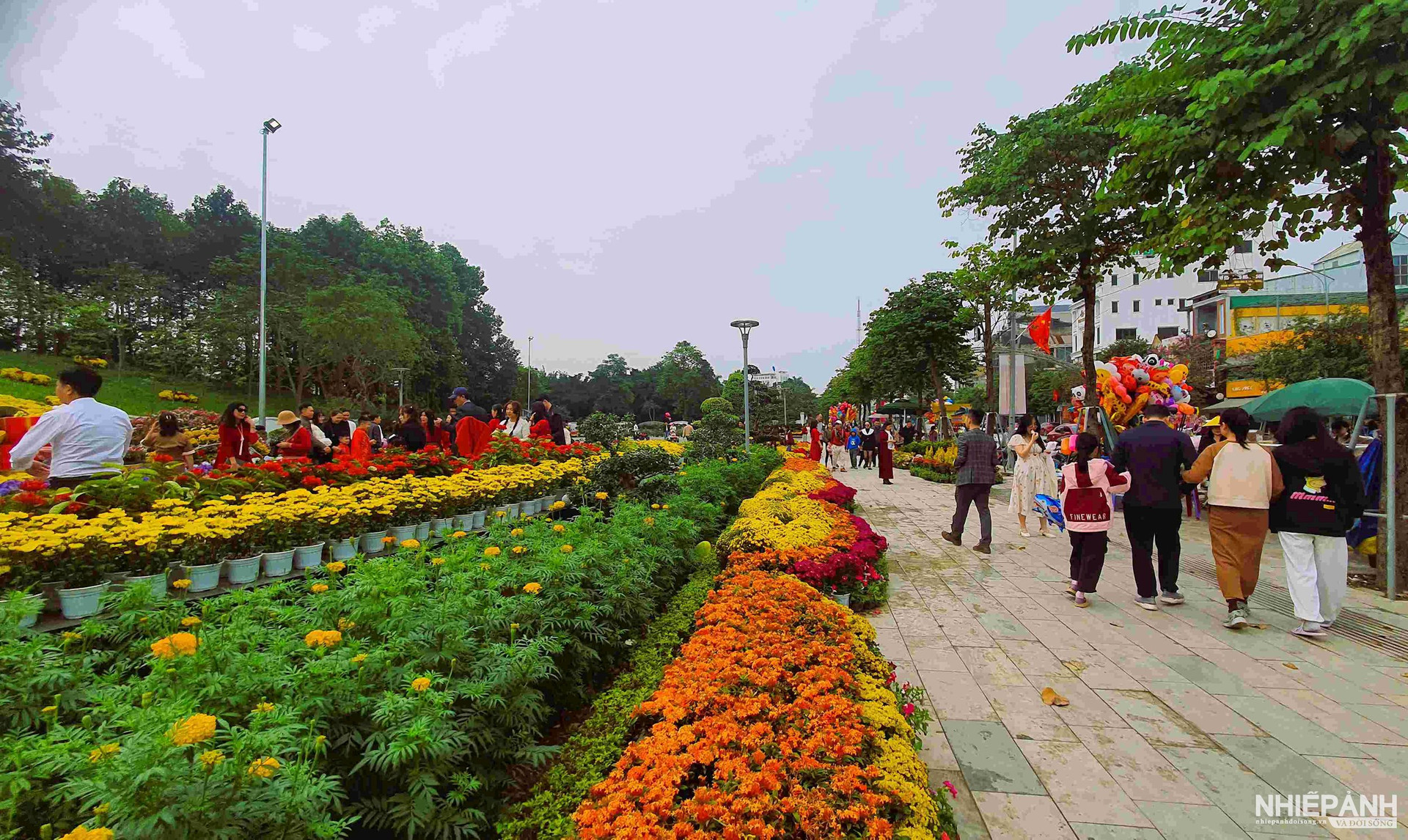 W_6.spring-flower-street-vinh-city-on-the-color-of-the-lake-street-is-a-tourist-destination-serving-people-and-tourists-during-the-happy-spring-festival.jpg