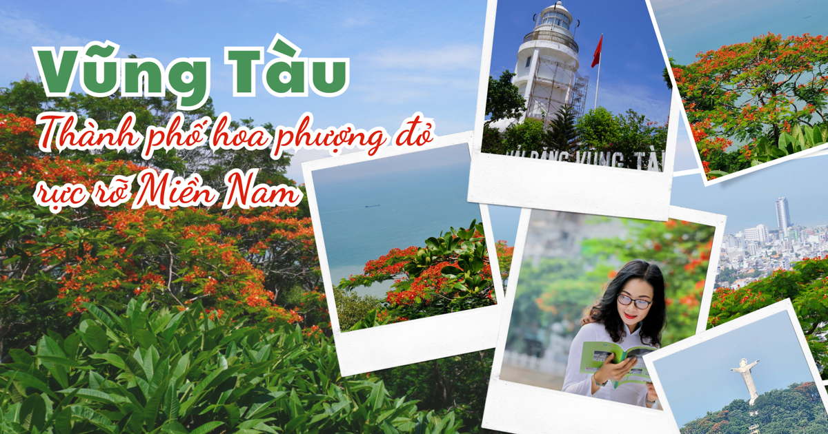 Vung Tau - the red phoenix flower city of the South