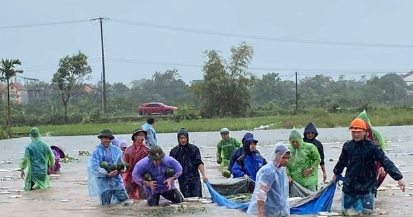 Hung Yen youth 'brave in the rain' to escape floods with farmers