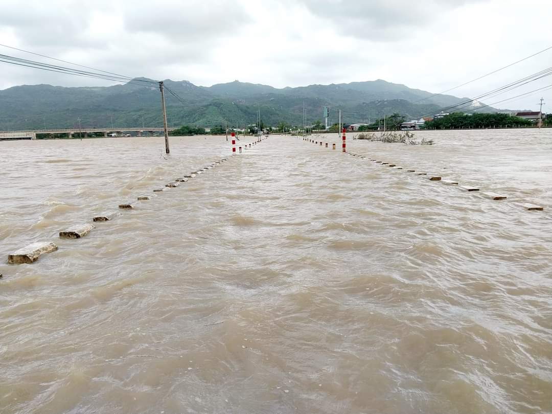 Bình Định: Nhiều trường phải dừng kỷ niệm ngày Nhà giáo Việt Nam vì mưa lũ - Ảnh 8.