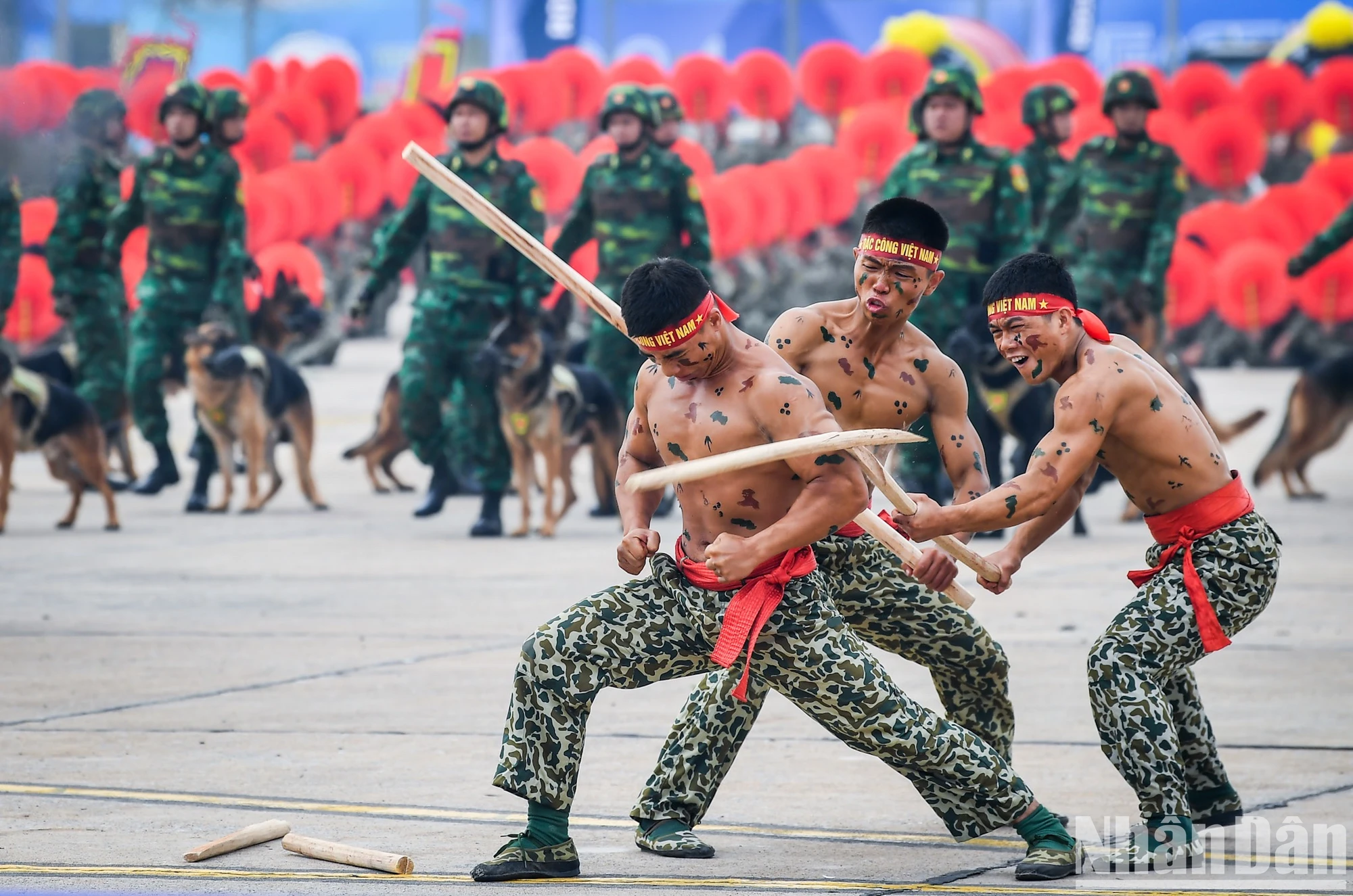 [Photo] Impressive Rehearsal Ceremony of Vietnam International Defense Exhibition 2024 photo 11