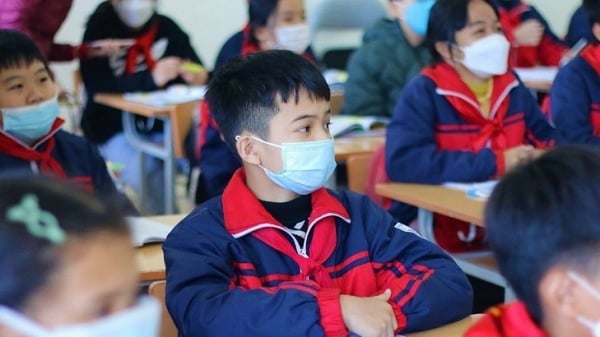 ¿Por qué, aunque el informe de calificaciones de una escuela primaria esté lleno de 10, aún así no califica para el examen de ingreso al sexto grado en la Escuela Secundaria para Superdotados de Hanoi?