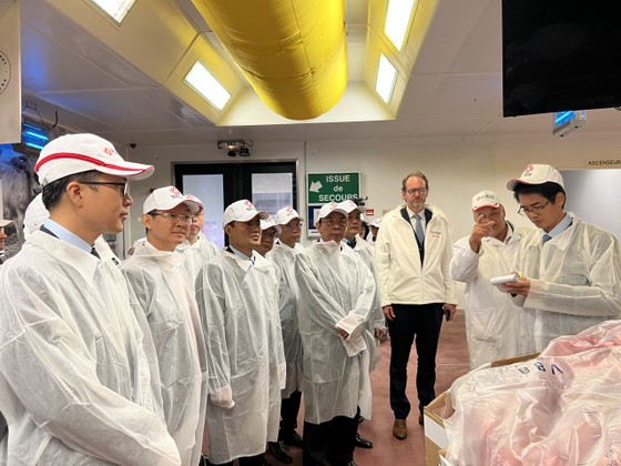 S'appuyant sur l'expérience française, la modernisation des marchés de gros de Hô-Chi-Minh-Ville vise à attirer les touristes. Photo 2