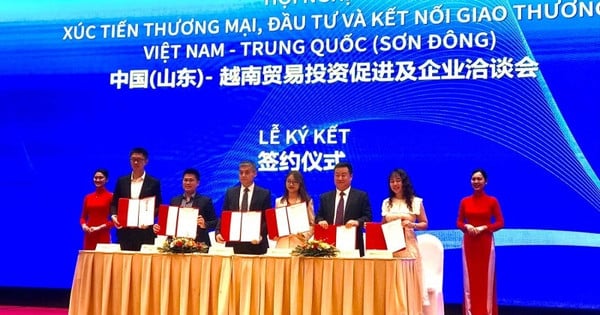 Connecting trade and investment between Vietnam and China (Shandong)