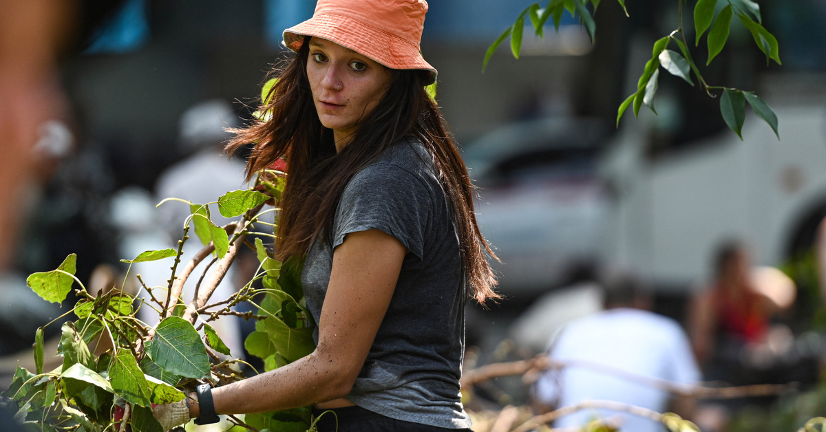 Western tourists take to the side streets to clean up fallen trees in Hanoi after Typhoon Yagi