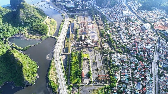 Le terrain « doré » pour construire un hôpital de 4 200 milliards est bloqué dans le défrichement à Quang Ninh photo 9