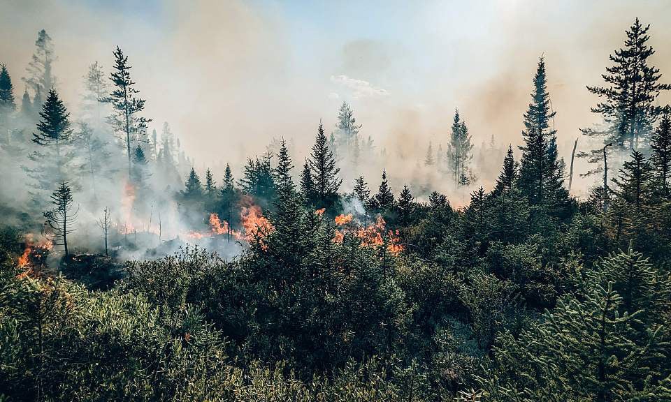 Cháy rừng Canada thải ra hơn 1 tỷ tấn CO2