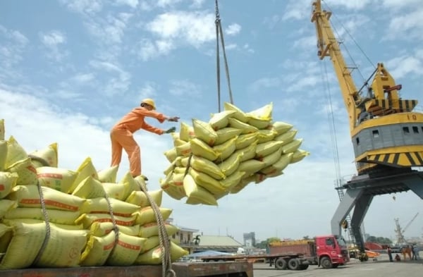 Le prix du riz a légèrement augmenté de 100 VND/kg, les exportations de riz ont continué de diminuer