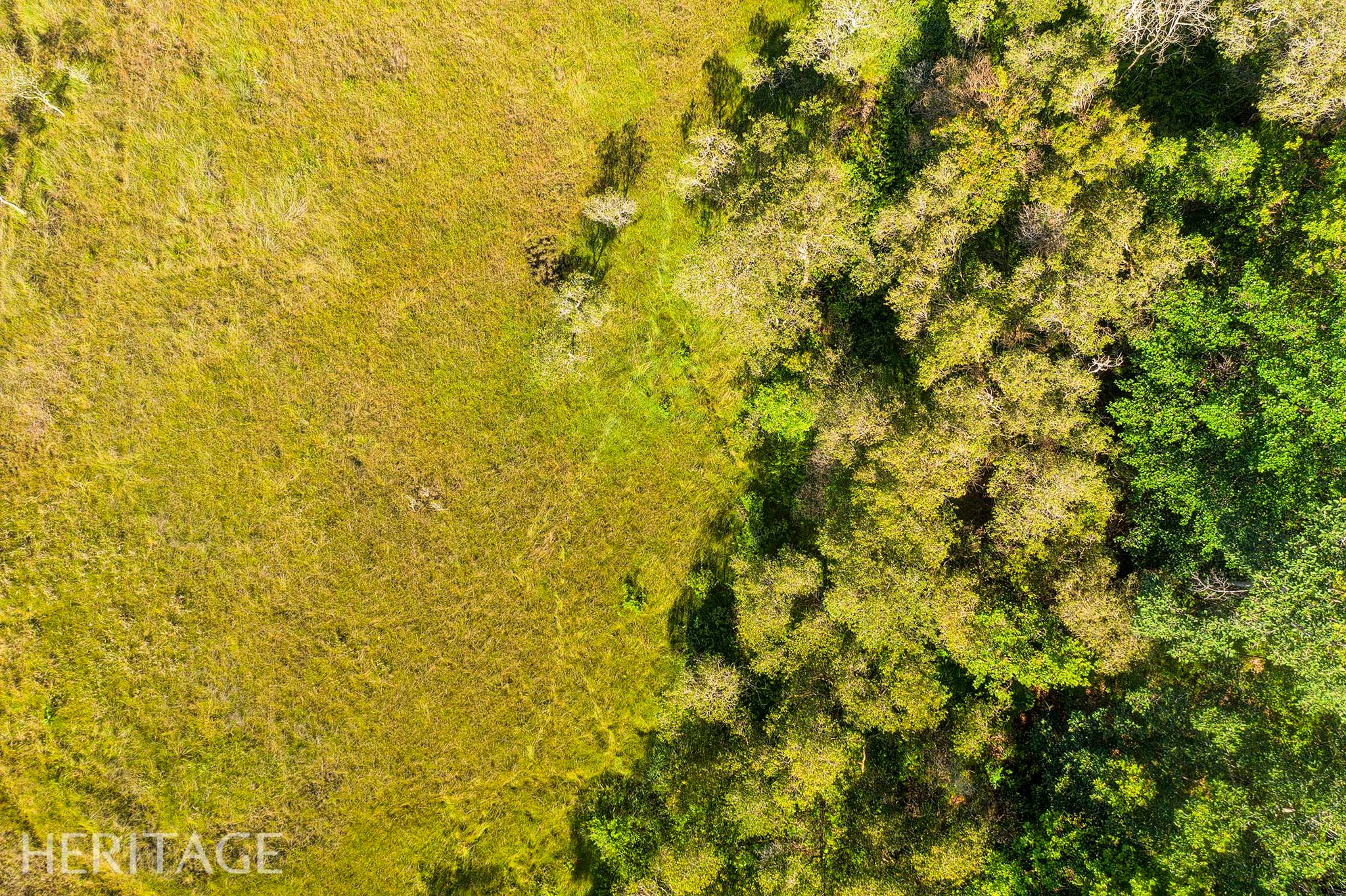 Découvrez la réserve naturelle de Ta Kou