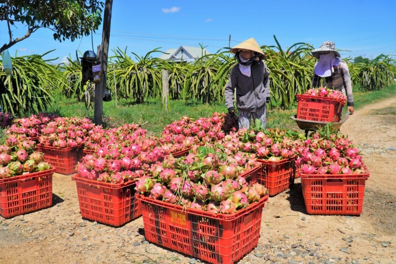 ពាណិជ្ជកម្មវៀតណាម-ចិនកើនលើស ១៣០ ពាន់លានដុល្លារ