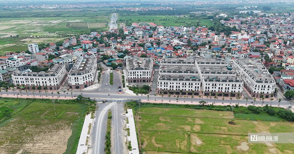 Grass grows wildly in a multi-billion-dollar townhouse at the Son Dong Center project.