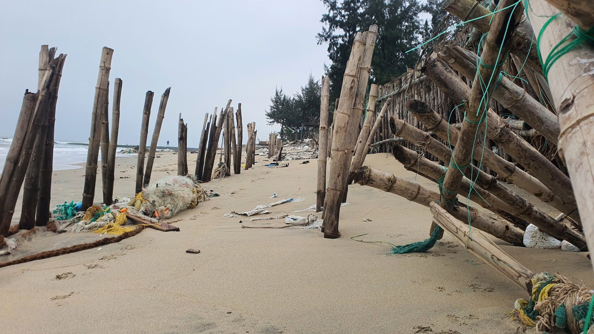 Primer plano del deslizamiento de tierra en la playa de Hoi An que obligó a declarar el estado de emergencia (foto 10)