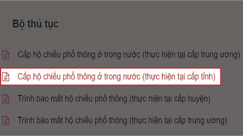 Dưới 14 tuổi vẫn có thể làm hộ chiếu theo hình thức online nhanh chóng, tiện lợi