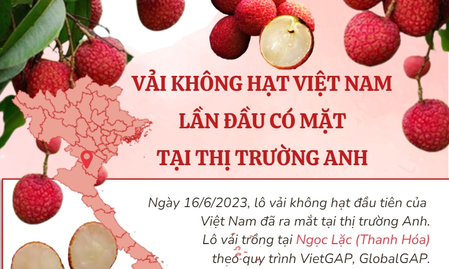 Frutas vietnamitas exportadas al mercado del Reino Unido