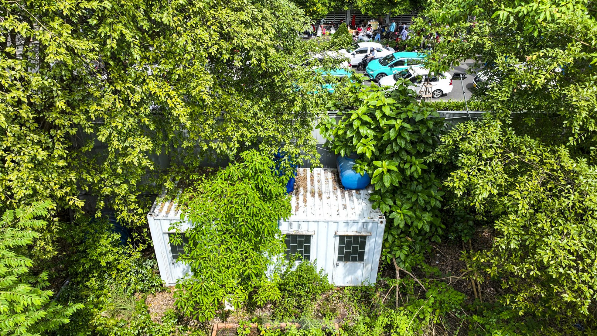 Scene of overgrown weeds in a trillion-dollar stadium on 'golden land' in Ho Chi Minh City photo 8