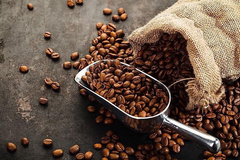 Netherlands increases coffee purchases from Vietnamese market