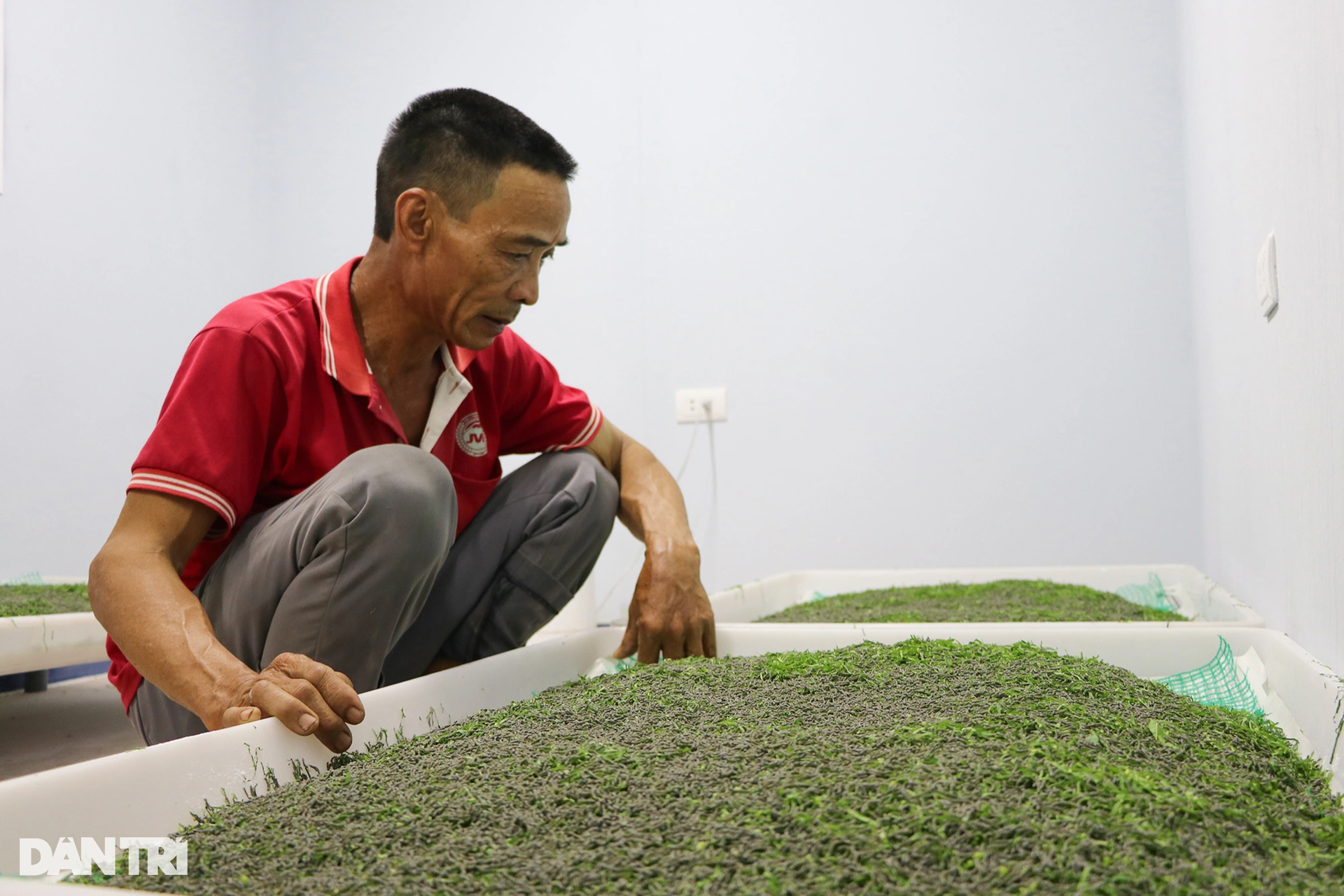 Lãi kép từ nuôi con khó chiều, nằm điều hòa - 4