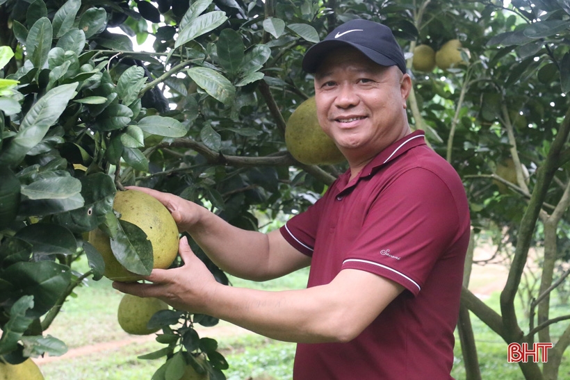 Những bông hoa đẹp trong vườn hoa thi đua yêu nước của Hà Tĩnh