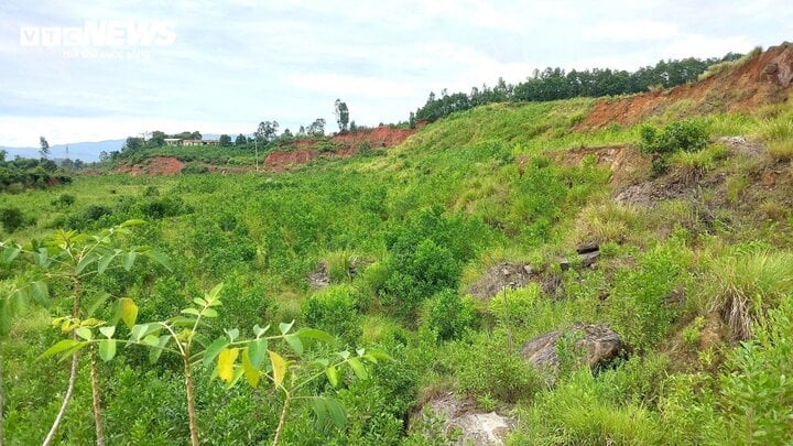 Toute modification arbitraire de l’usage d’un terrain sans l’autorisation d’un organisme d’État compétent sera passible d’une amende. (Photo : Xuan Tien)